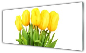 Akril üveg kép Tulipán virágok Plant 100x50 cm