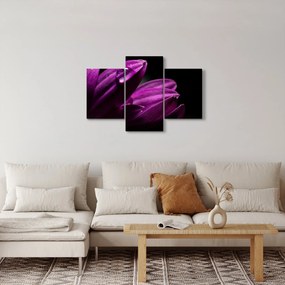 Kép - Vízcsepp (90x60 cm)