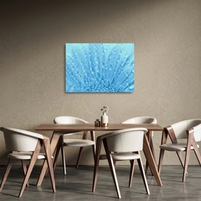 Üveg kép - Makro felvétel egy virágról (70x50 cm)