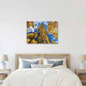 Üveg kép - Aspen (70x50 cm)