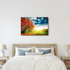 Napsütésben fürdő táj képe (90x60 cm)