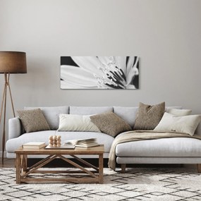 Kép - Fekete-fehér virág (120x50 cm)
