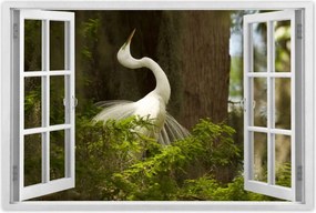 Poszterek 90x60 Kalapos madár Tájkép Kilátás