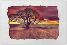 Poszterek 60x40 Fa