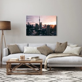 Kép - kilátás a városi központra (90x60 cm)