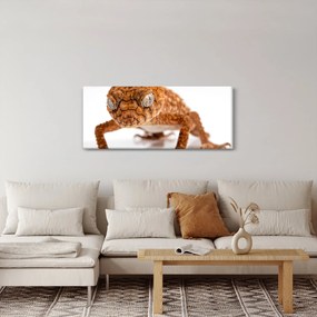 Gyík képe (120x50 cm)