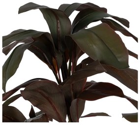 Műnövény (magasság 170 cm) – Ixia