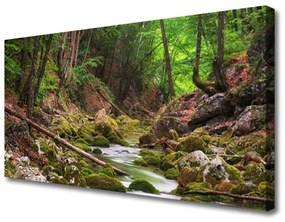 Vászonkép nyomtatás Forest Moss Természet 100x50 cm