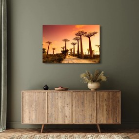 Kép - Naplemente a Baobab Alley-ben (90x60 cm)