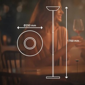 Briloner 1500015 - LED dimmelhető állólámpa ESTATE 8W/5V 4000 mAh fekete