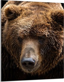 Üveg Vágódeszka 40x52 Maci a Konyhába