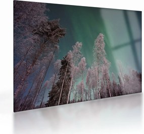 Az aurora borealis képe fagyos fák felett (üvegen) (70x50 cm)