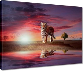Vászonkép 40x30 Tigris