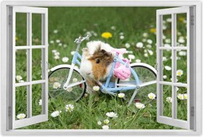 Poszterek 60x40 Tengerimalac a réten