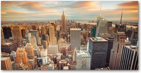 Fotó üvegkép New York madár repülés 140x70