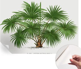 Öntapadós tapéta Divatos 3D fali ragasztó Egzotikus minta 152x104 cm