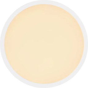 GLOBO 41562-18W SAPANA Kerek Mennyezeti Lámpa LED IP44