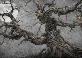 Flizelina fotótapéta Nappaliba és Hálószobába Rejtélyes bagoly 208x146