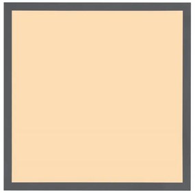 Globo 416080WD2 - LED Mennyezeti lámpa DORO LED/24W/230V