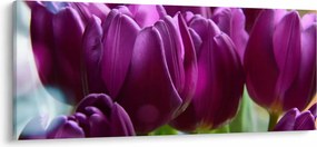 Tulipán képe (120x50 cm)