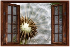 Poszterek 120x80 Pitypang Virág Virágok