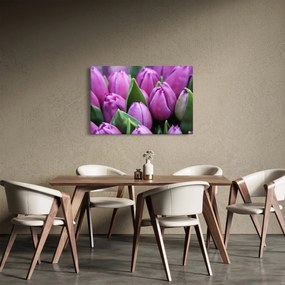 Kép - tulipánok (90x60 cm)