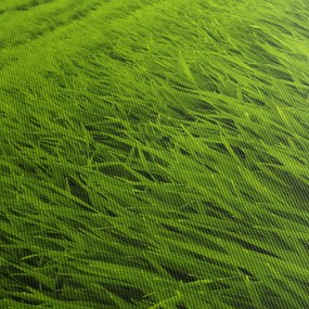 A fű képe (120x50 cm)