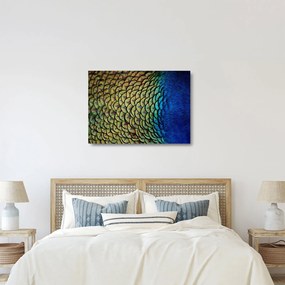 Üveg kép - Pávatollak (70x50 cm)