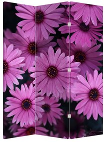 Paraván - Rózsaszín virágok (126x170 cm)