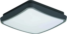 VIOKEF 4197700 TIBUOK Négyzetes Mennyezeti Lámpa LED IP54