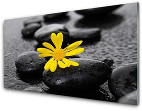 Modern üvegkép Sárga virág Nature Spa 100x50 cm 2 fogas