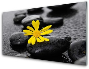 Modern üvegkép Sárga virág Nature Spa 100x50 cm
