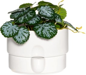 Kerámia Kaspó Öntözőrendszerrel Fehér Virágokkal Ø 19 cm