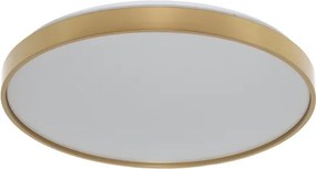 Osram - LED mennyezeti lámpatest CEILING LUXO LED/36W/230V Ø 49 cm arany