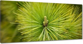 Festmények 120x60 Ág