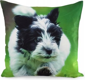 Dekorációs Párnahuzat Jancsi 40x40 Velúr Szép