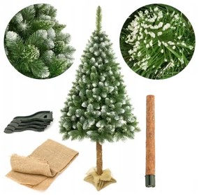 Karácsonyfa törzsön 220 cm fenyő