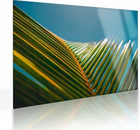 Kép - A pálmalevél részlete (üvegen) (70x50 cm)