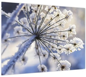 Kép - Fagyott virág (70x50 cm)