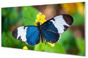 Üvegképek Színes pillangó virágok 100x50 cm