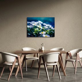 Százszorszépek képe (70x50 cm)
