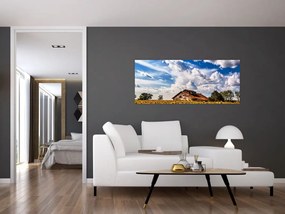 Napraforgó mező képe (120x50 cm)