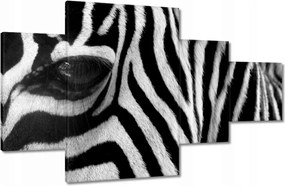 Vászonkép 130x80 Fekete-fehér csíkos Zebra