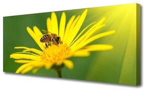 Vászonkép falra Bee Virág Természet 125x50 cm