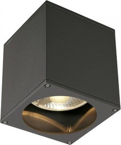 SLV 229555 BIG THEO Modern Kültéri Mennyezeti Lámpa GU10 IP44