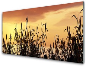 Akril üveg kép A levelek West Meadow Field 100x50 cm