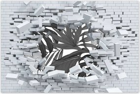 Poszterek 120x80 Fekete-fehér monstera