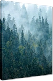 Vászonkép 30x40 Erdő a ködben Utazás