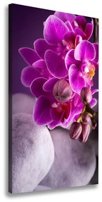 Egyedi vászonkép Rózsaszín orchidea ocv-95985968