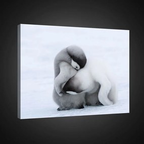 Vászonkép, Pingvinek, 80x60 cm méretben